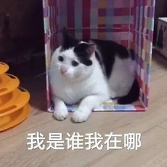 咖啡師倒掉首杯濃縮的真相！開機萃取關鍵與風味影響解析