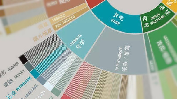 咖啡風味輪全解析：從杯測技巧到風味描述的實用入門指南