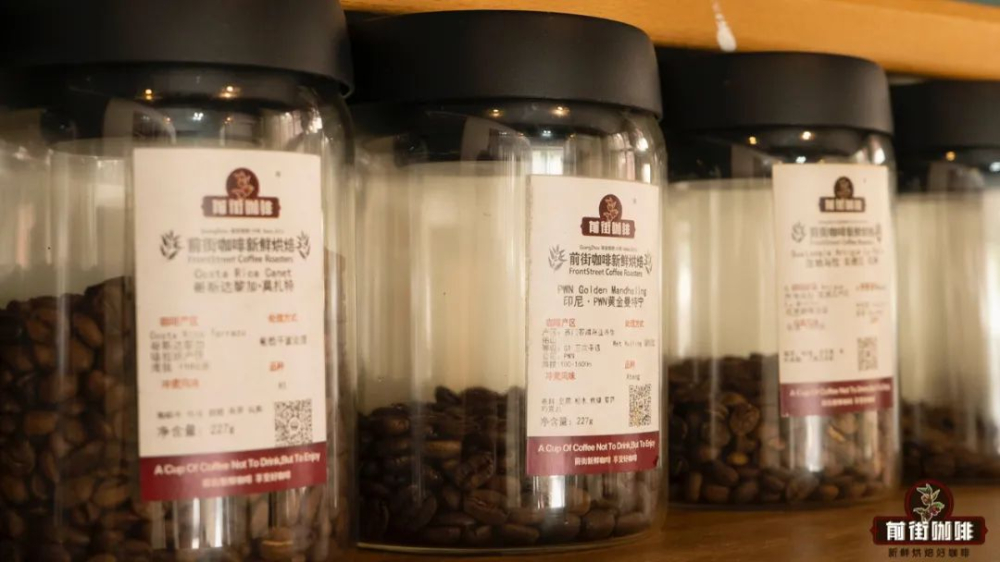 全自動美式滴濾咖啡機操作教學與咖啡豆搭配推薦｜萃取參數與風味解析