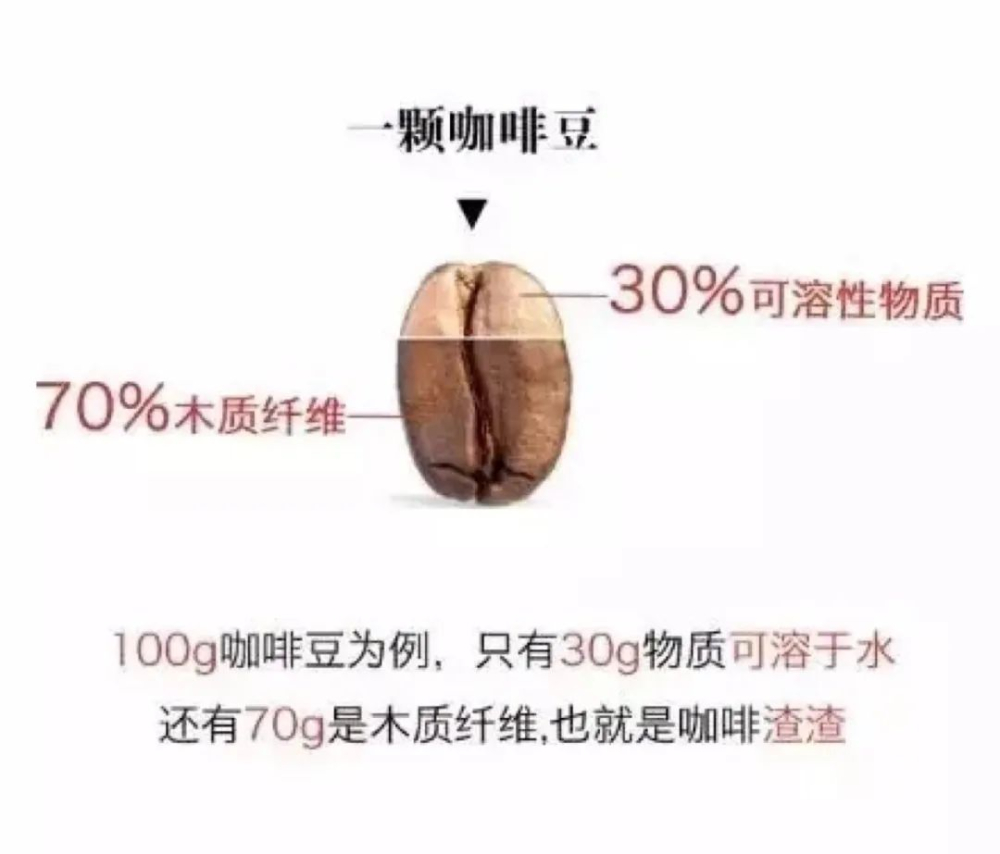 手沖咖啡必懂！金盃萃取原理與濃度萃取率實戰應用
