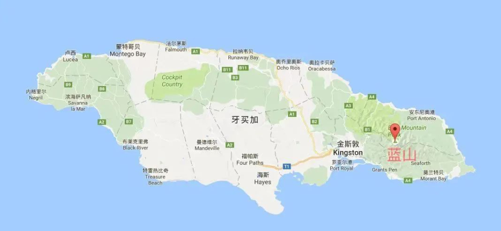 牙買加藍山咖啡木桶標籤全攻略：認識CIB認證與正品辨識關鍵