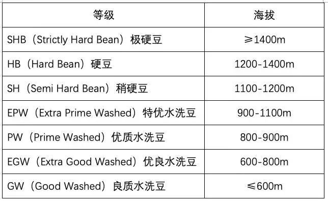 手衝咖啡層次感秘訣：從選豆到衝煮的關鍵技巧