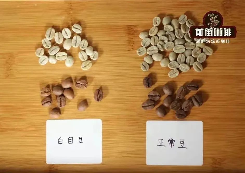 手衝咖啡乾淨度怎麼評?從風味層次判斷沖煮品質的關鍵