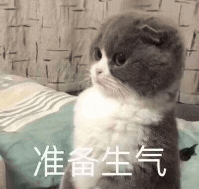 咖啡師日常大揭密：從洗杯技巧到吧檯後的多重角色養成