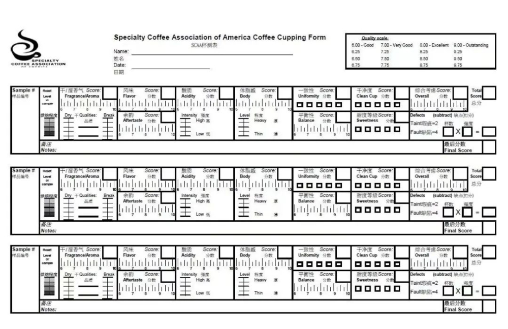 咖啡品質評鑑秘笈:SCAA杯測11項標準與80分精品門檻解析
