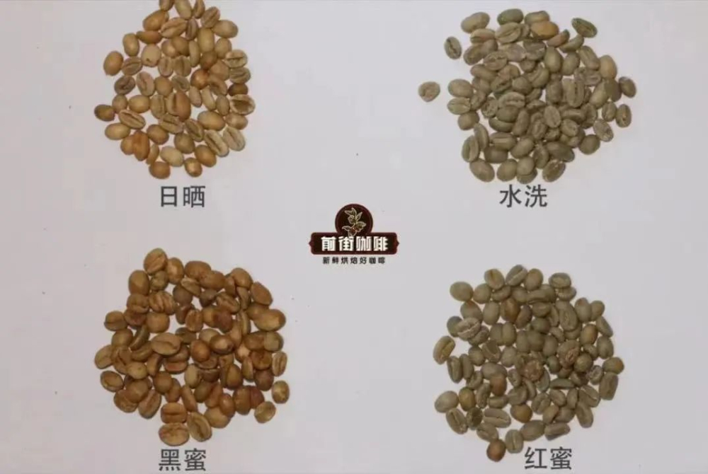 中度烘焙咖啡豆顏色偏深？解析烘焙色值與蜜處理的關聯