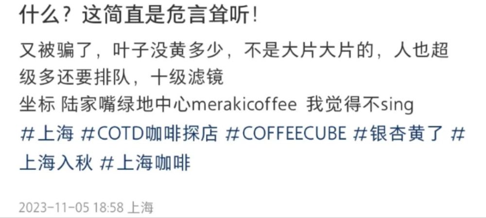 上海陸家嘴銀杏咖啡廳實地探訪:網美照與現場落差解析