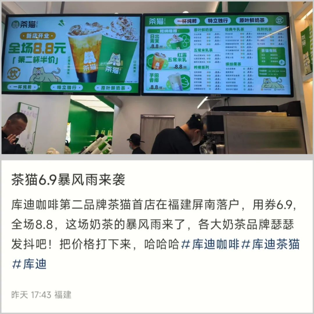 庫迪跨界推茶飲品牌「茶貓」，6.9 元策略如何影響現製茶市場？