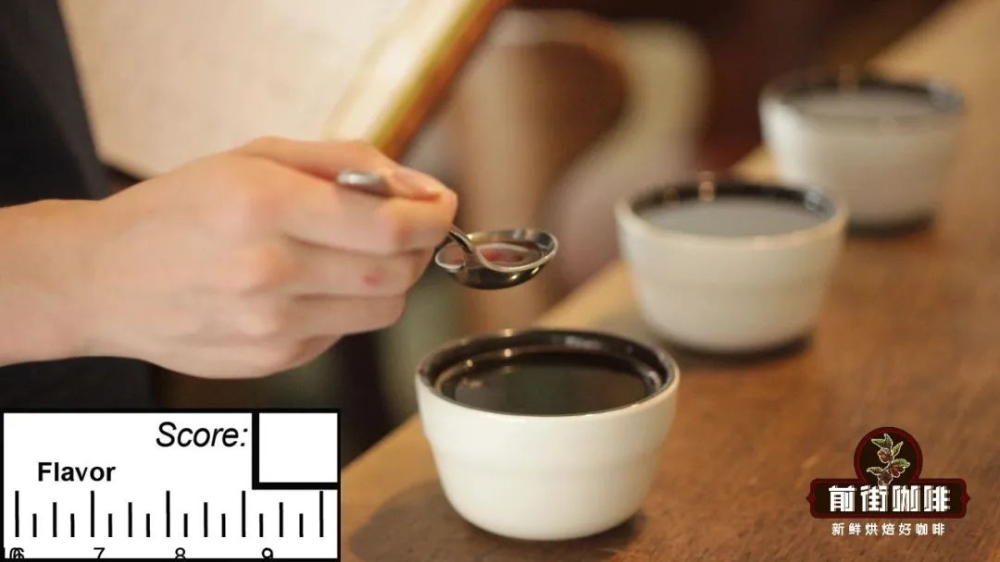 咖啡品質評鑑秘笈：SCAA杯測11項標準與80分精品門檻解析