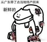 全自動咖啡機蟑螂防治指南：清潔保養與物理防蟑關鍵技巧