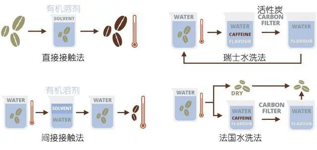 巴西IAC研發天然無因咖啡 2030年全球市場上看288億美元