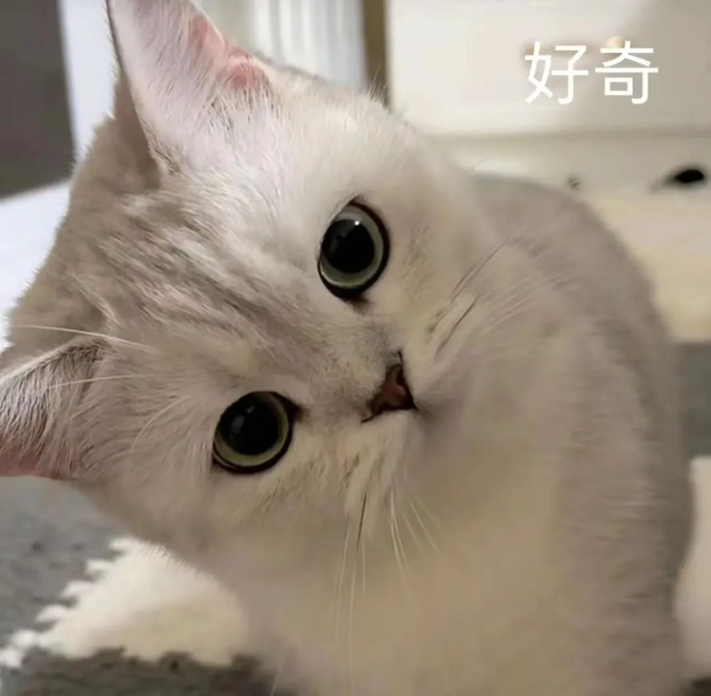 手沖三段式注水時機對風味影響？淺中深烘實驗解析