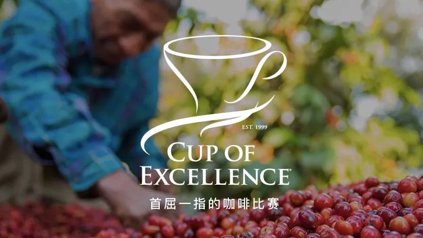 COE卓越杯賽事深度解析：從評分標準到競拍流程全攻略