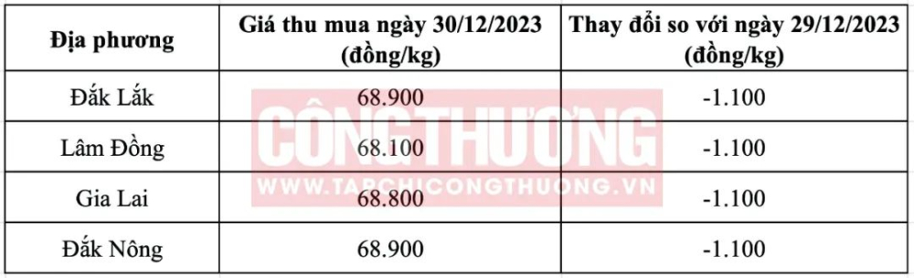 越南咖啡價格鬆動背後:供應回穩與全球市場變數解析