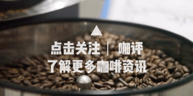 2023年全球咖啡產銷解析：產區表現懸殊與消費趨勢逆轉