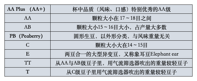 肯尼亞咖啡產區、SL28/SL34品種與水洗處理全攻略|手沖風味解析