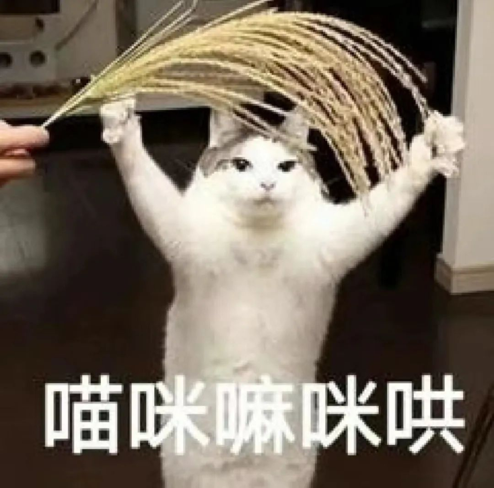 意式拼配咖啡全攻略：生熟拼技巧、風味搭配與實戰範例