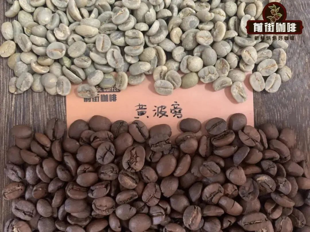 黃波旁咖啡品種解析：與紅波旁、鐵皮卡的演化關係與風味特色