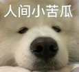 亞美森咖啡退出中國:價格戰下的東南亞市場戰略調整與咖啡品牌生存指南