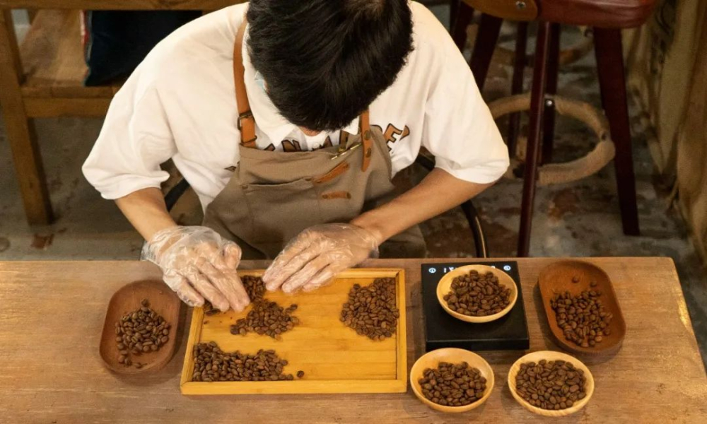 咖啡因含量真相：烘焙程度、豆種與沖煮方式全面解析
