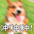 獨立咖啡館營運挑戰:如何突破閉店潮與價格戰困局