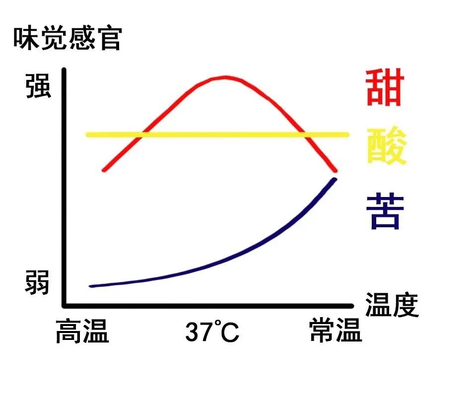 手沖咖啡放涼後怎麼加熱?電熱爐 vs 酒精燈實測回溫風味
