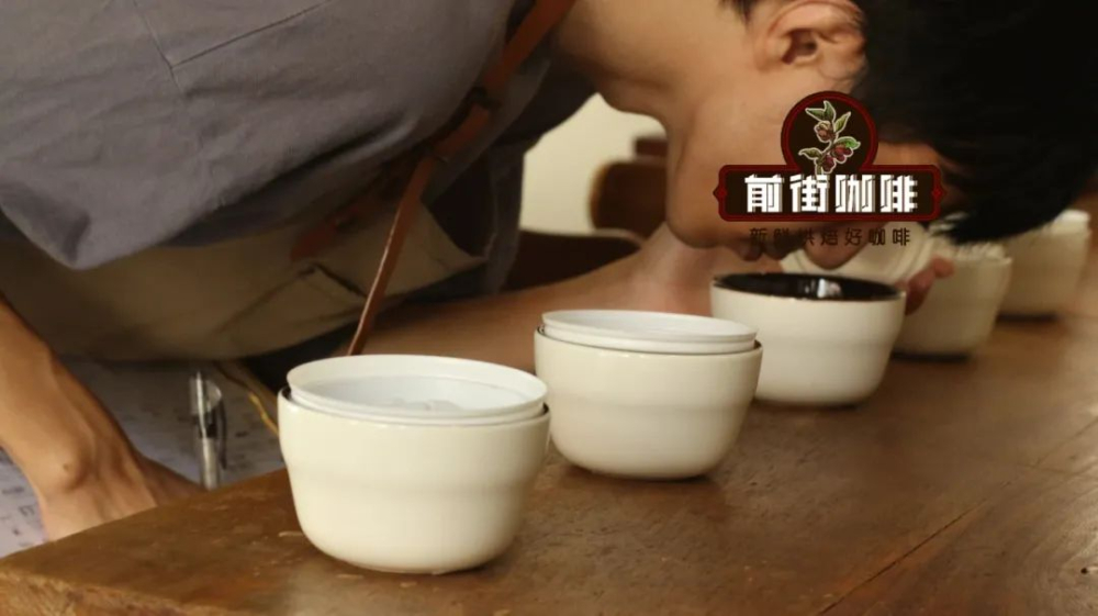 咖啡新手必看：從生豆分級到風味品鑑，掌握專業術語全指南