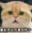 Combo組合杯溫杯爆裂事件解析｜一豆多喝器具的耐溫挑戰與使用迷思
