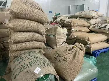 咖啡生豆新鮮度全解析:從新豆到陳年豆的分級與保存要點