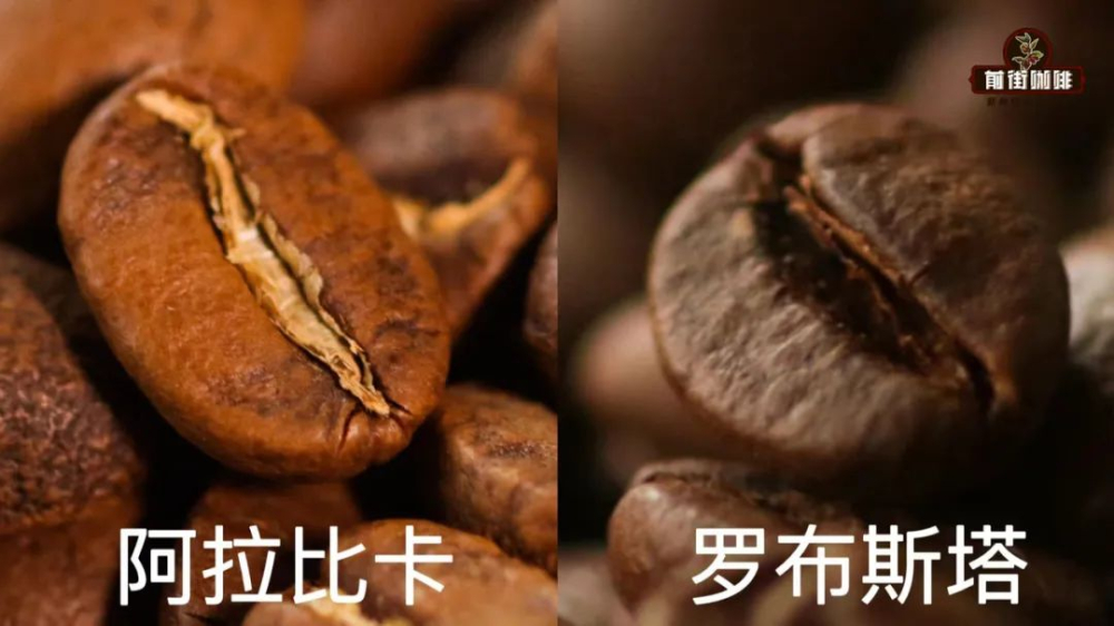 咖啡因含量深度解析:一杯咖啡究竟含多少?每日安全攝入量及身體影響 咖啡因含量深度解析:一杯咖啡究竟含多少?每日安全攝入量及身體影響