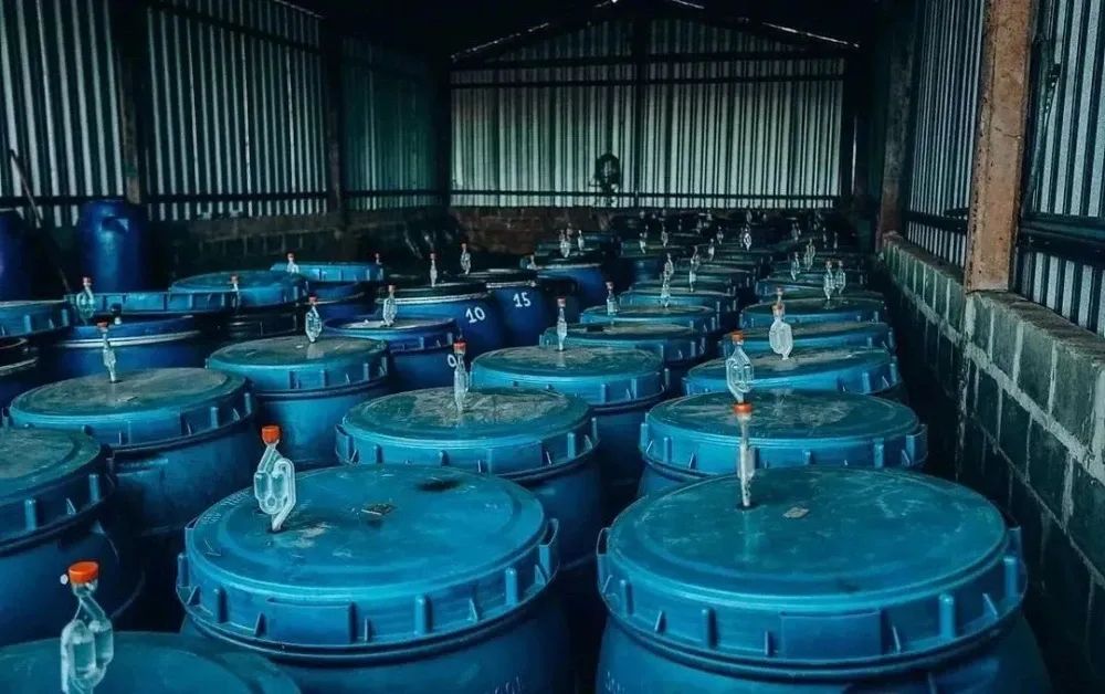 哥倫比亞雙重厭氧日曬希爪豆手沖攻略：萃取參數與風味釋放技巧