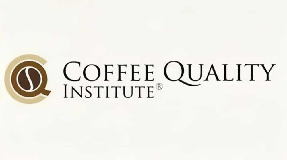 Q-Grader認證全攻略：從考試科目到精品咖啡鑑定師職涯發展