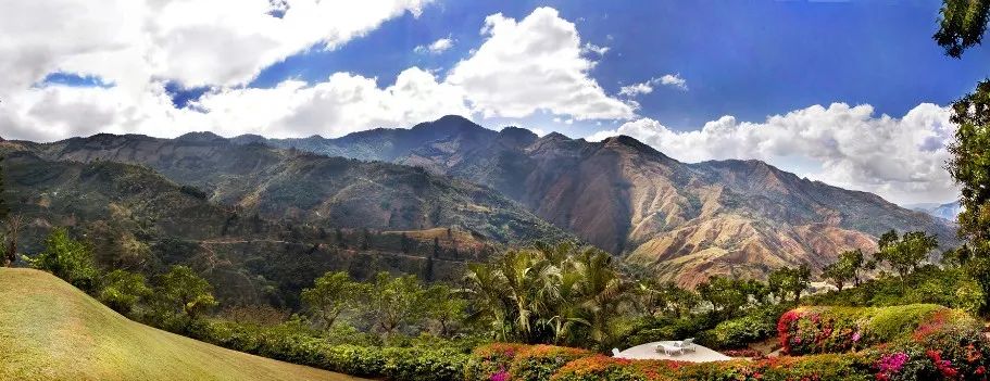危地馬拉新東方產區瑰夏咖啡豆:風土條件、品種源流與蜜處理風味解析 危地馬拉新東方產區瑰夏咖啡豆:風土條件、品種源流與蜜處理風味解析
