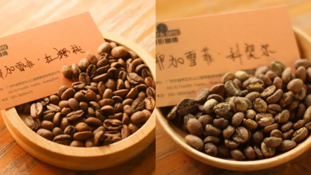 日曬 vs 水洗咖啡豆怎麼分？手沖品嚐與處理法辨識全攻略