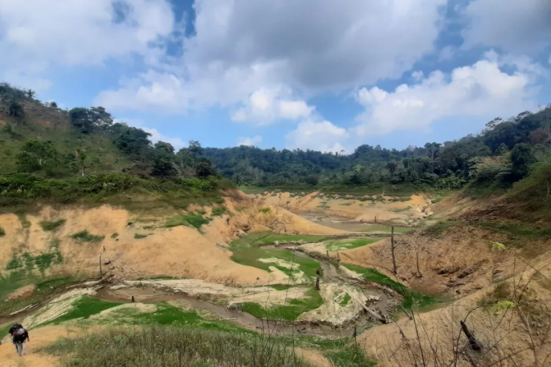 越南羅布斯塔咖啡減產危機：收購價飆破1億越南盾，全球供應吃緊