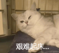 清明節陵園現咖啡攤！年輕人帶手沖咖啡祭祖新趨勢