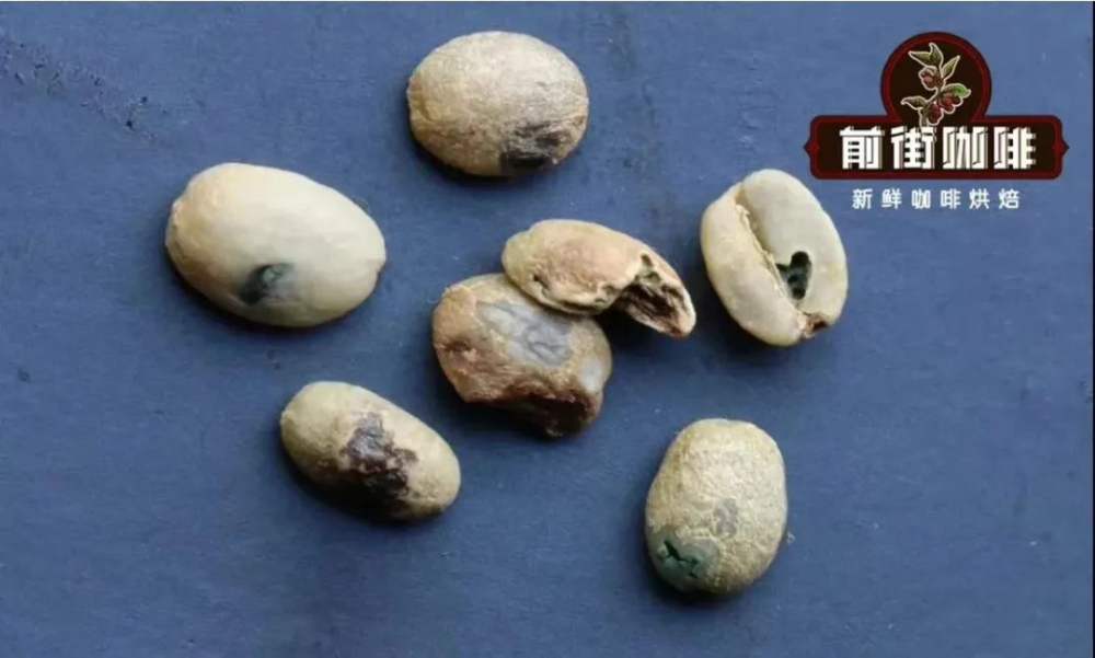 手衝咖啡異味源頭解析：從燥感到雜味全面辨識指南