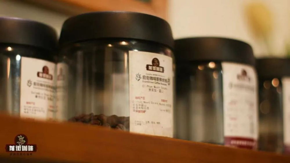 淺焙酸香與深焙醇厚：從藍山到瑰夏，解析咖啡風味轉變關鍵