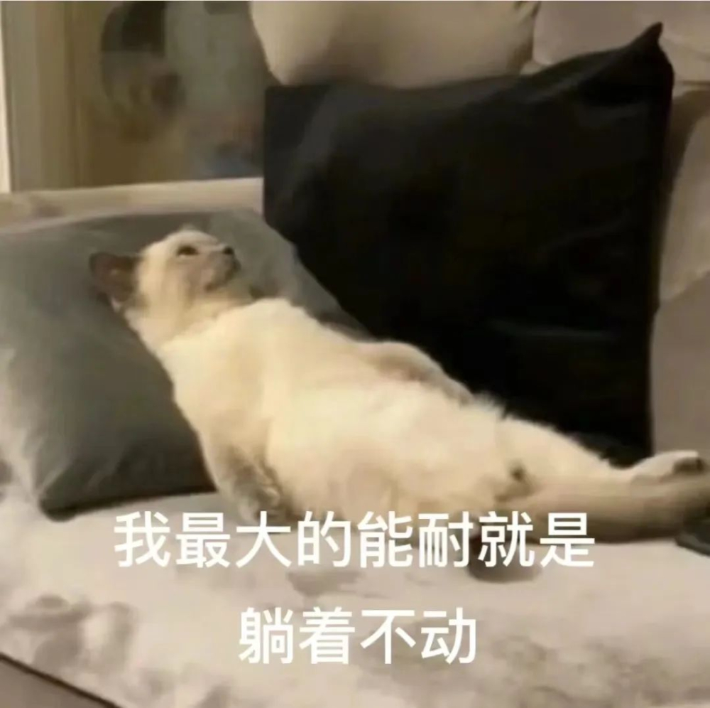 冰磚咖啡製作全攻略：冰美式與拿鐵配方比例與保存技巧