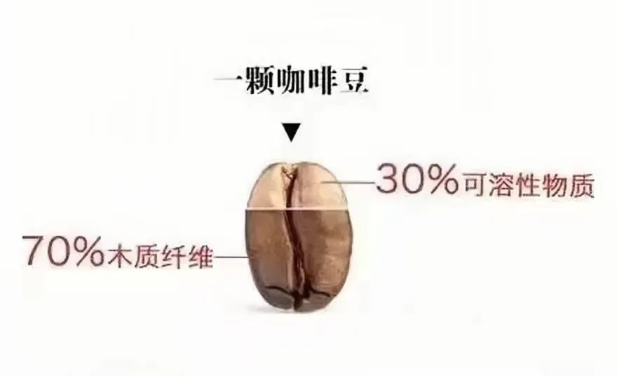 手沖咖啡萃取關鍵全攻略：研磨、水溫、水質與粉水比實戰解析