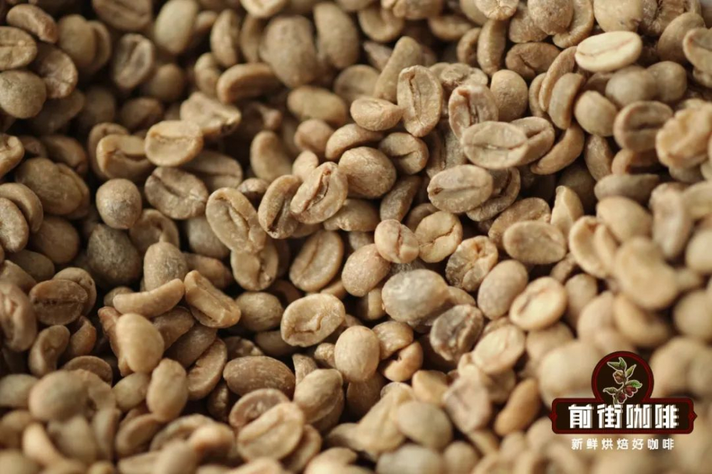 咖啡烘焙前必看：生豆三大特性與瑕疵豆辨識全攻略