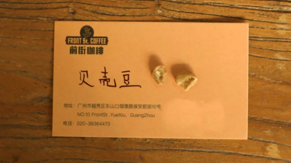 咖啡烘焙前必看:生豆三大特性與瑕疵豆辨識全攻略