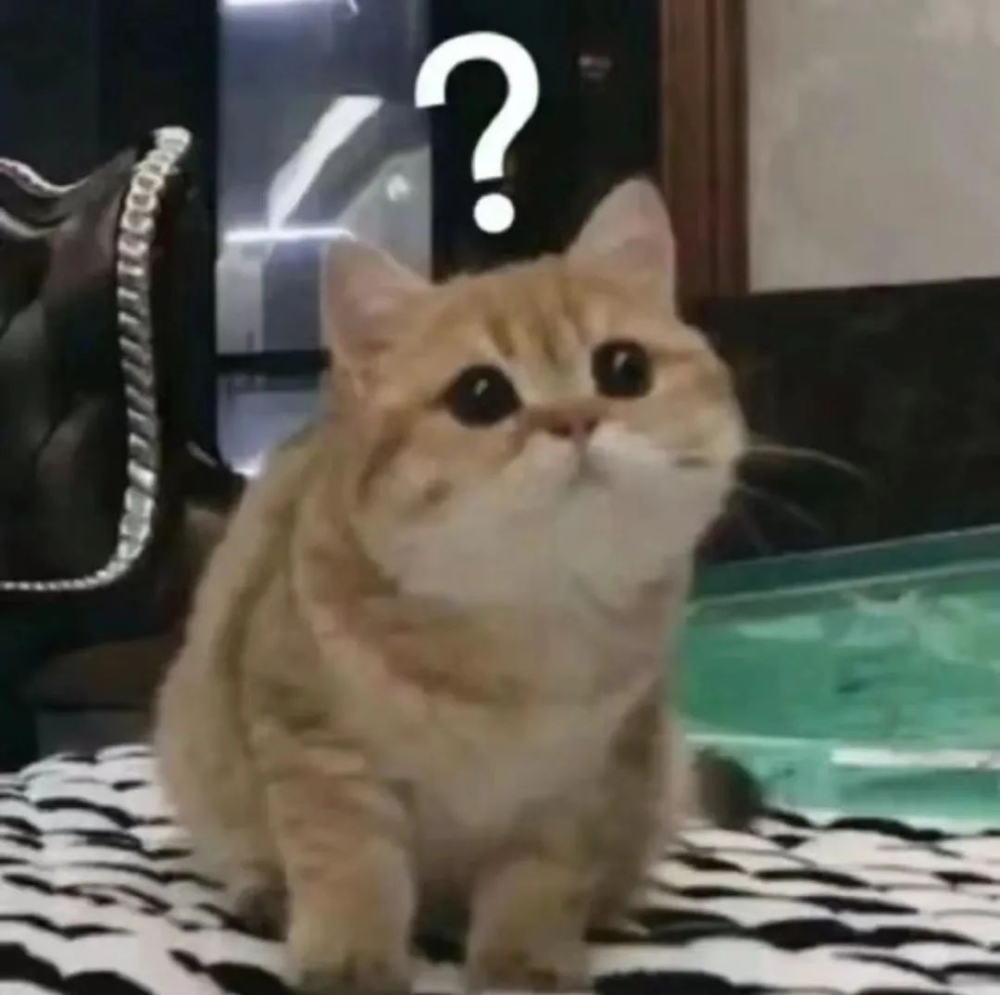 KONO濾杯怎麼用？深烘咖啡的萃取秘訣與實戰參數