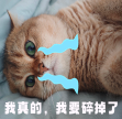 咖啡師獨守門市遇如廁難題!瑞幸等品牌人手不足隱患解析