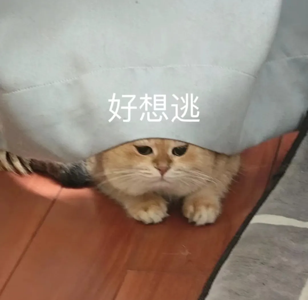 濃縮咖啡萃取異常怎麼辦？從出液狀態判斷與萃取前檢查全指南