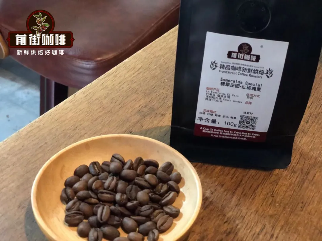 咖啡品種與產地的關聯背後:鐵皮卡、波旁、瑰夏如何成為經典?