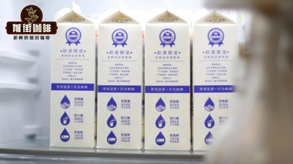 拿鐵奶泡打發六大關鍵細節！專業咖啡師不外傳的倒缸技巧