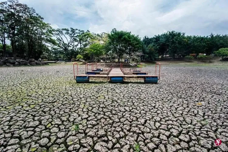 哥斯達黎加咖啡減產危機:氣候變遷如何影響風味與產業鏈?