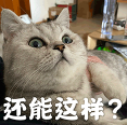 咖啡店主理人招募陷阱：50%分潤背後的付費打工真相