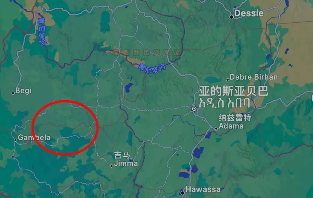 埃塞俄比亞咖啡出口受阻：港口危機與武裝衝突雙重打擊